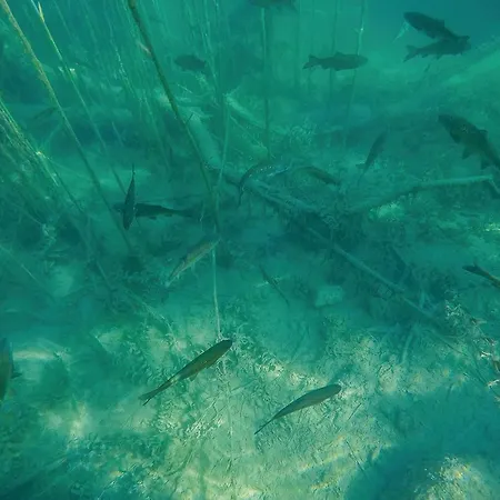 Nyaraló Three-bedroom In Oklaj