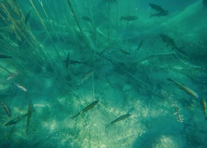 Nyaraló Three-bedroom In Oklaj